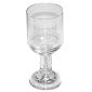 Everlasting Clear Acrylic Goblet